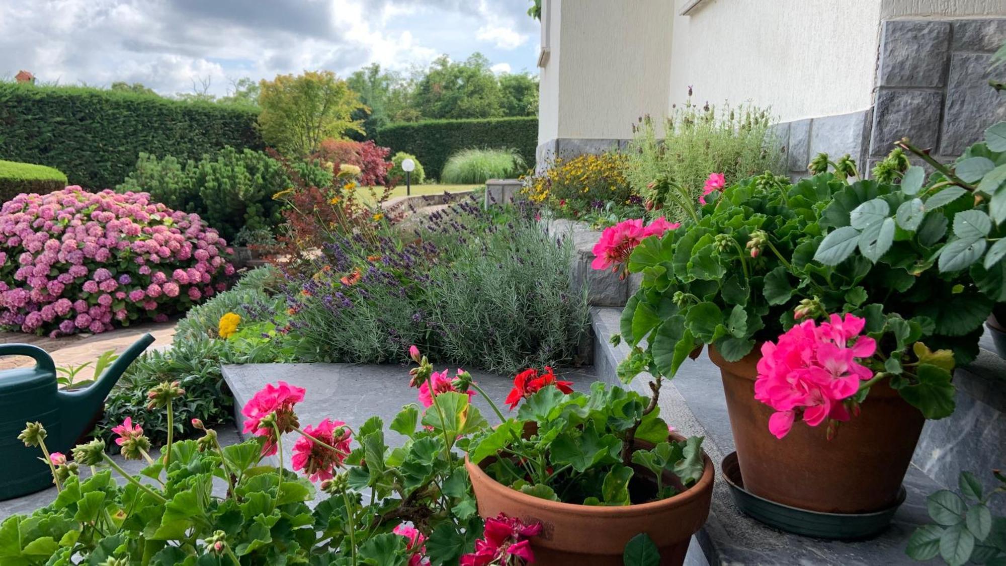 Garden Villa Štanjel Екстериор снимка